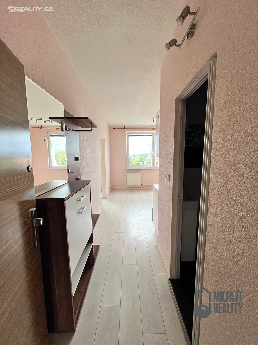 Pronájem bytu 1+1 39 m² - Więcej