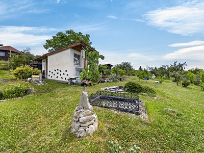 Prodej  zahrady 391 m²