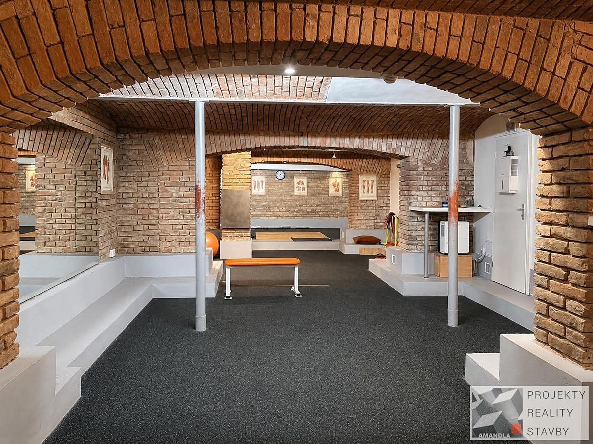 Pronájem obchodního prostoru 311 m²