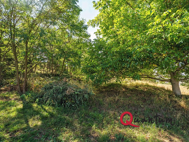 Ділянка на продаж, 16 339 м² (49 з 56)