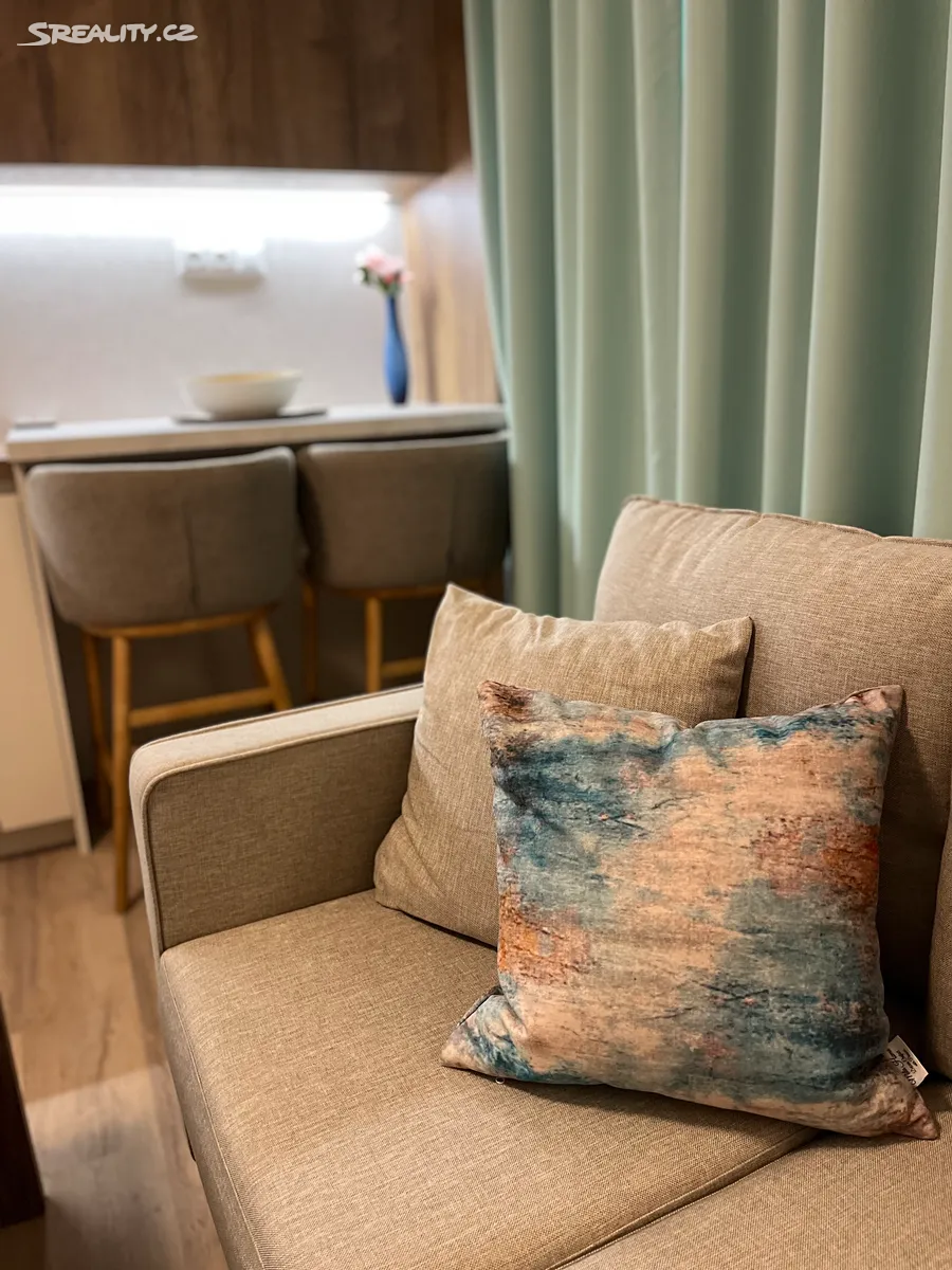 Pronájem bytu 2+kk 40 m² – další