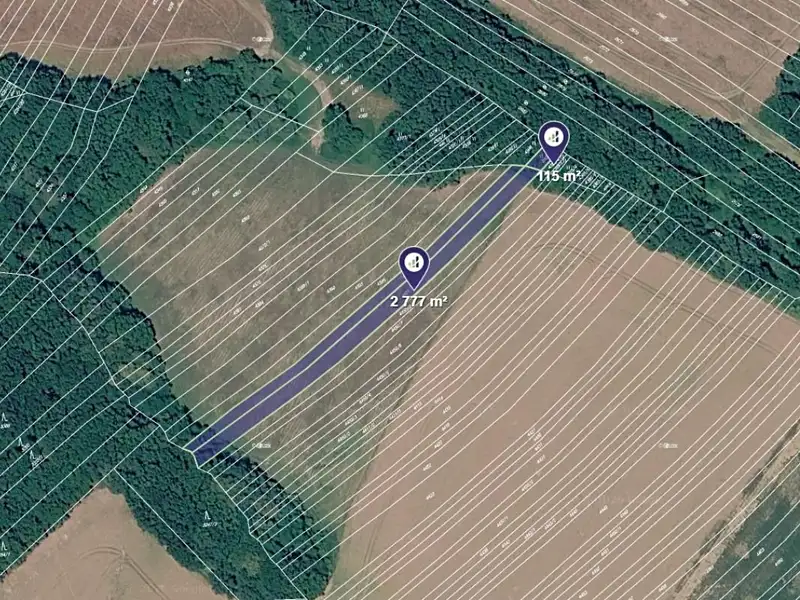 Prodej pole 2892 m², Mistřice – náhled fotky 1