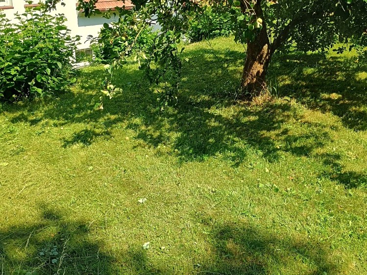 Будинок на продаж, 257 м² (22 з 27)