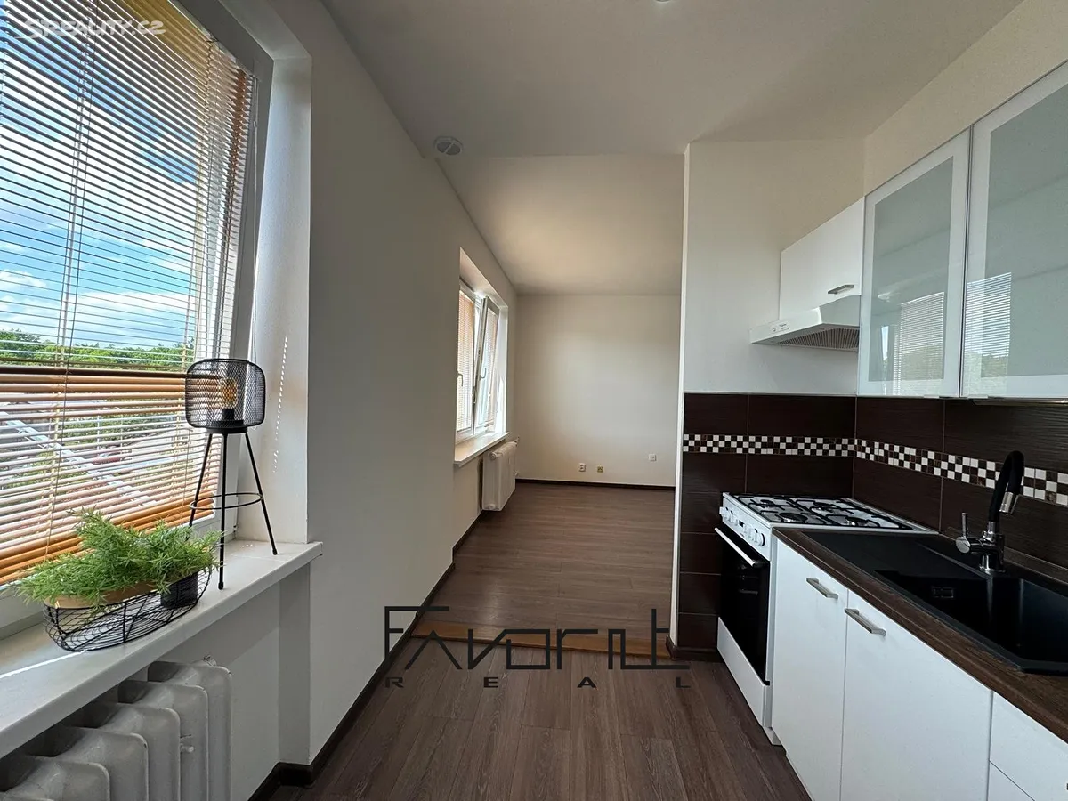 Pronájem bytu 2+1 50 m² – pohled 3