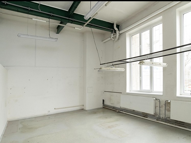 Pronájem komerčního prostoru, 222 m² (4 z 11)