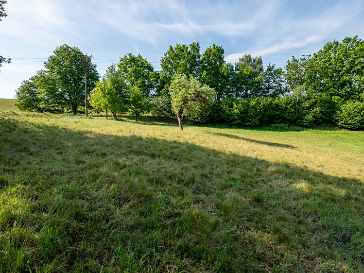 Prodej pozemku, 4 767 m² (8 z 19)