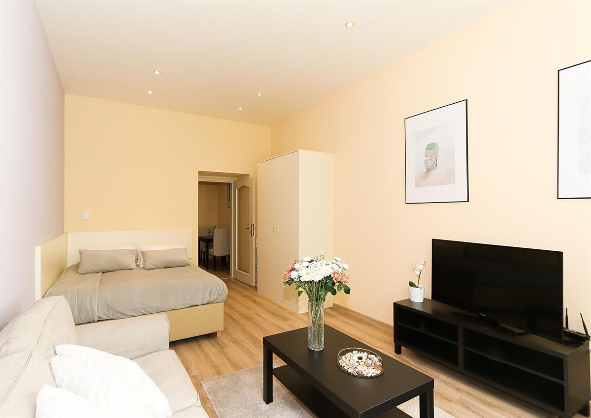 Pronájem bytu 1+1 40 m²