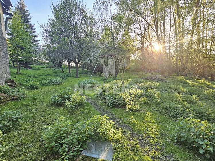 Ділянка на продаж, 6 496 м² (5 з 25)
