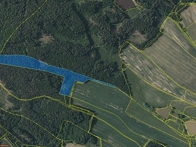 Prodej  lesa 30 002 m²