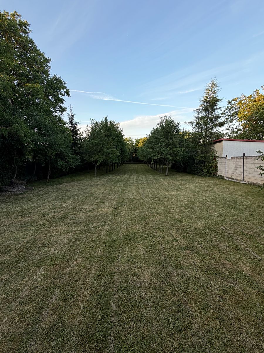Prodej rodinného domu 160 m², pozemek 1590 m² – fotografie 5