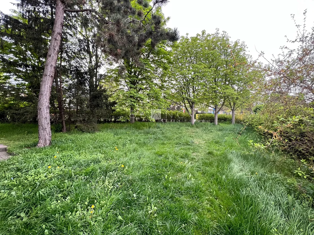Pronájem bytu 1+kk 35 m² – další
