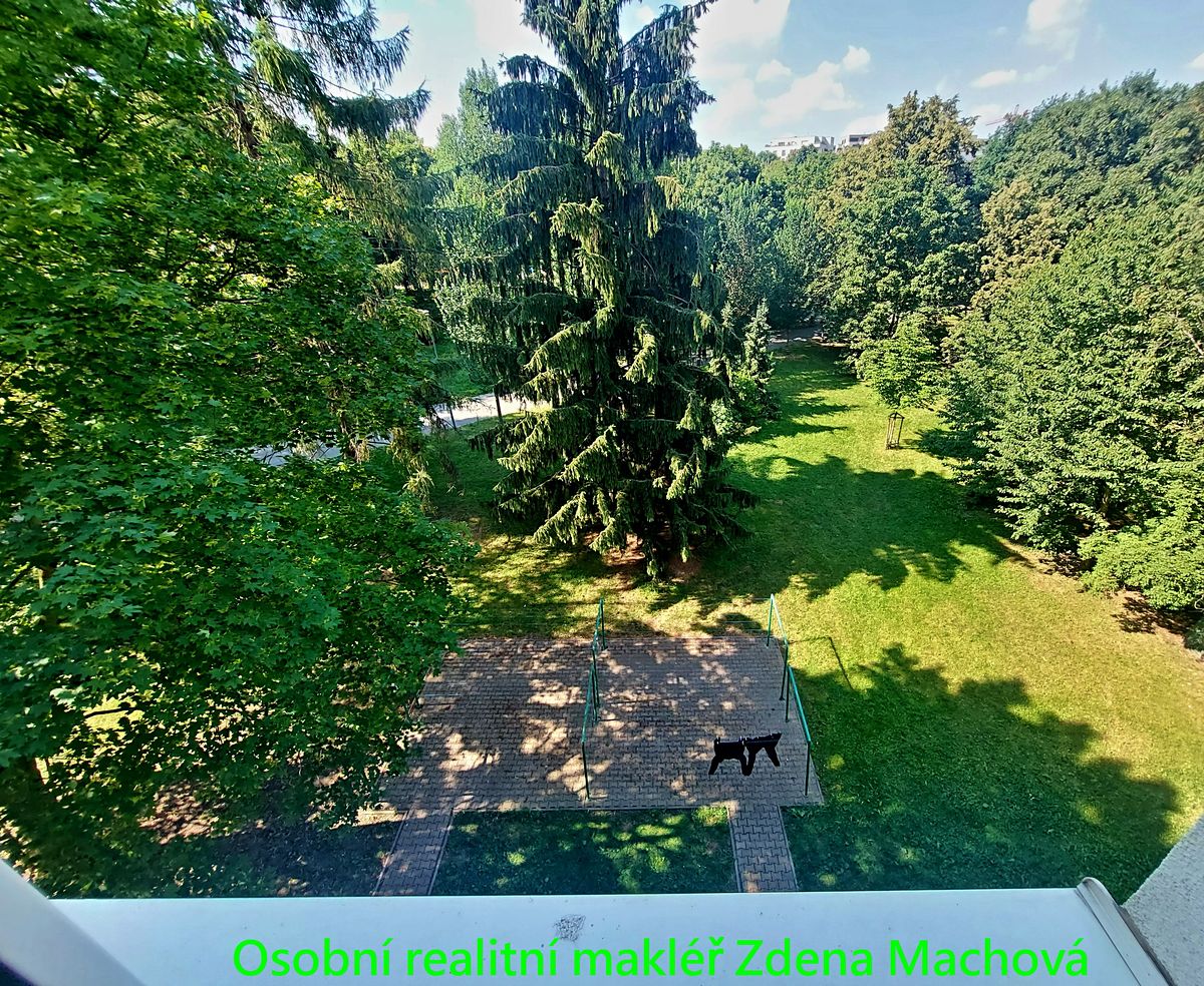 Pronájem bytu 2+1 56 m²