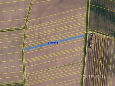 Prodej  pole 6 430 m²