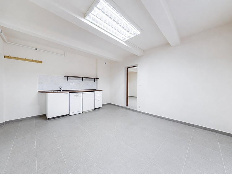 Prodej komerčního prostoru, 48 m² (1 z 13)