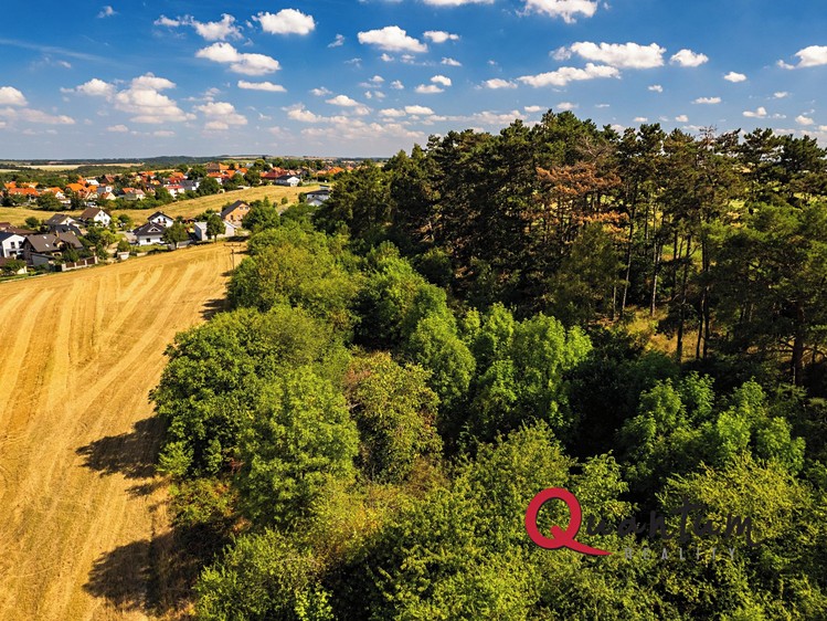 Ділянка на продаж, 16 339 м² (35 з 56)