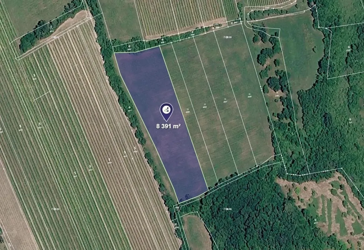 Prodej louky 8391 m²