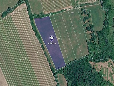 Prodej  louky 8 391 m²