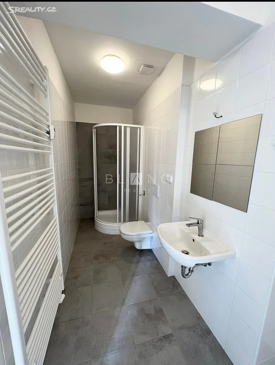 Pronájem bytu 1+kk 35 m² – pohled 5