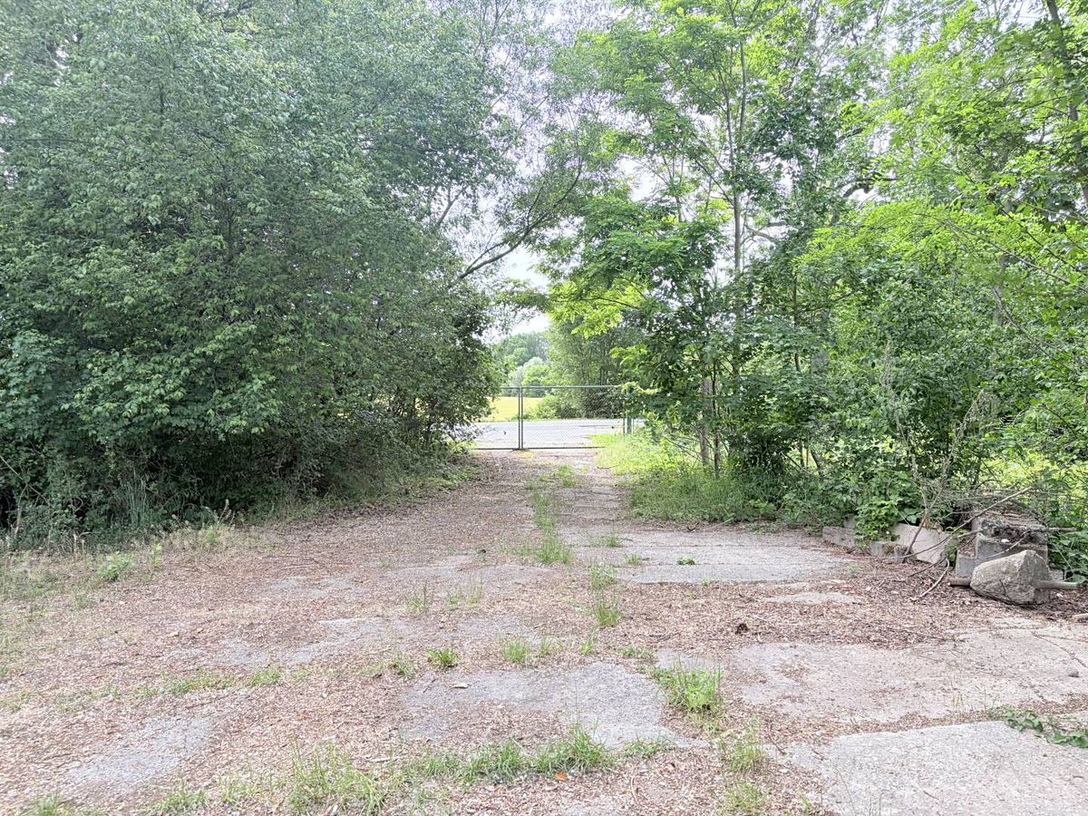 Pronájem louky 3000 m² – fotografie 3