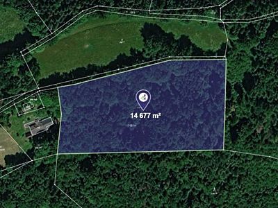 Prodej lesa 14677 m²