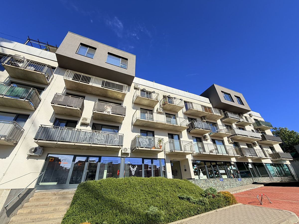 Pronájem bytu 1+kk 42 m²