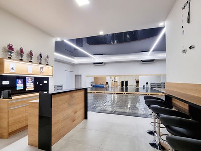 Pronájem komerční nemovitosti 233 m²