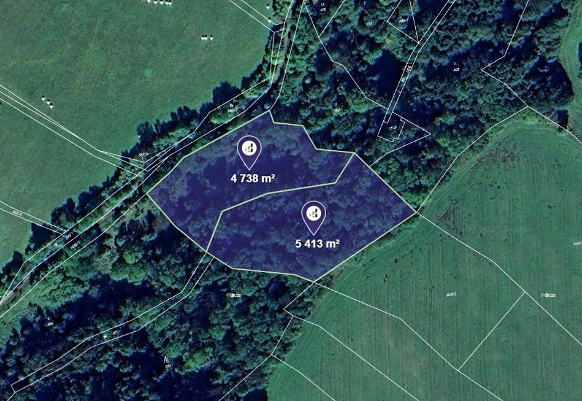 Prodej lesa 10151 m², Lovečkovice – fotka 1 z 3