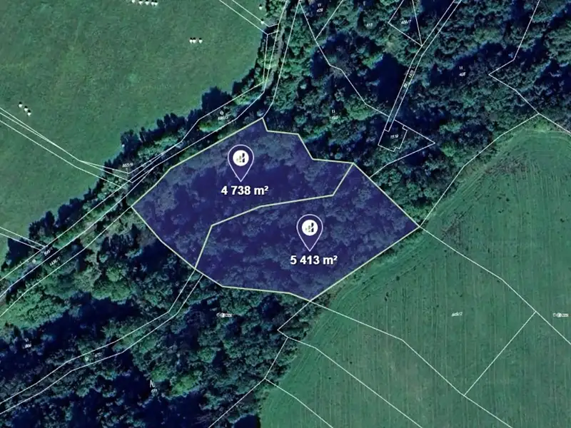 Prodej lesa 10151 m², Lovečkovice – náhled fotky 1