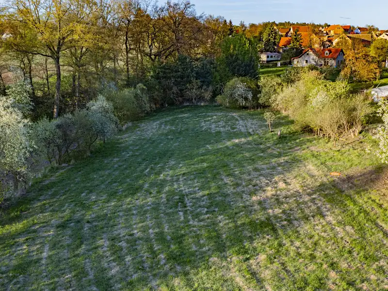 Prodej stavebního pozemku 3831 m², Svojetín – náhled fotky 1