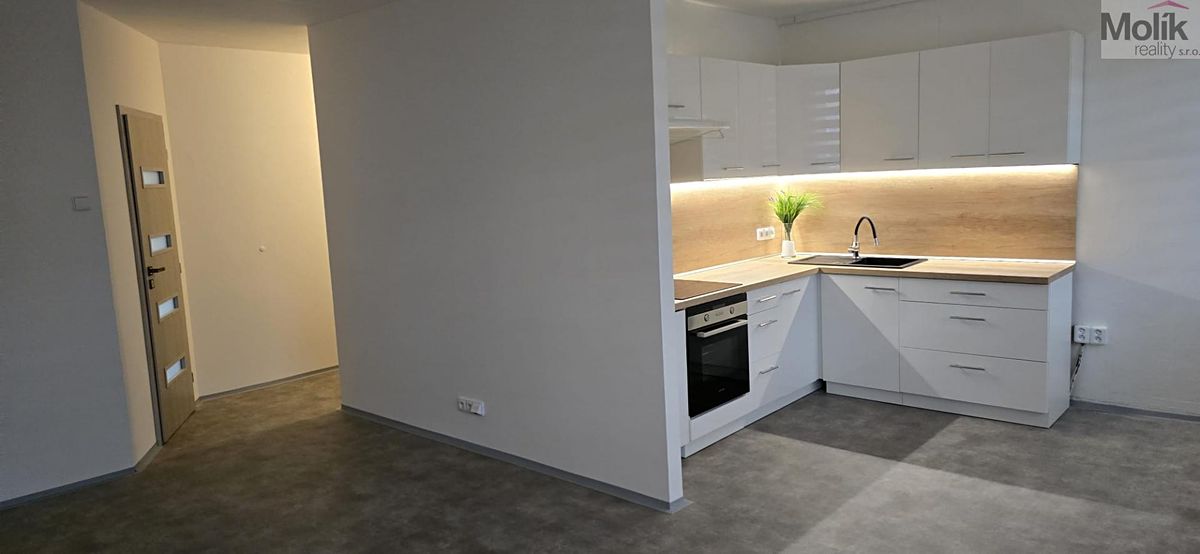Pronájem bytu 3+1 53 m² – fotografie 5