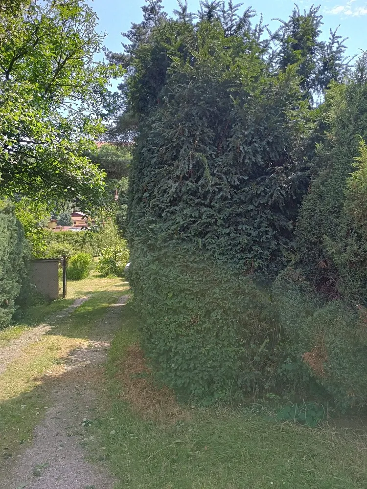Fotka 21 z 27