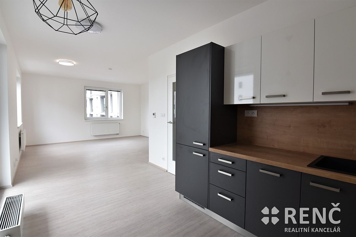 Pronájem bytu 1+kk 42 m²