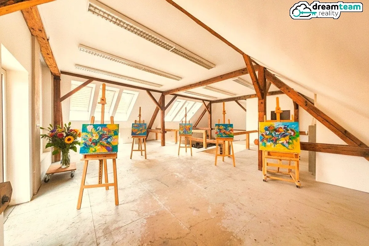 Prodej památky 344 m², pozemek 205 m²