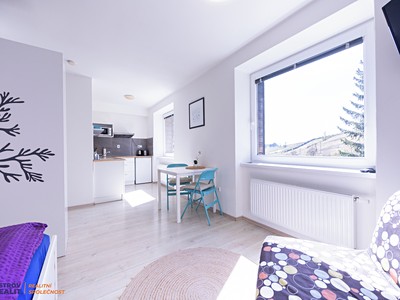 Prodej bytu 1+kk 30 m²
