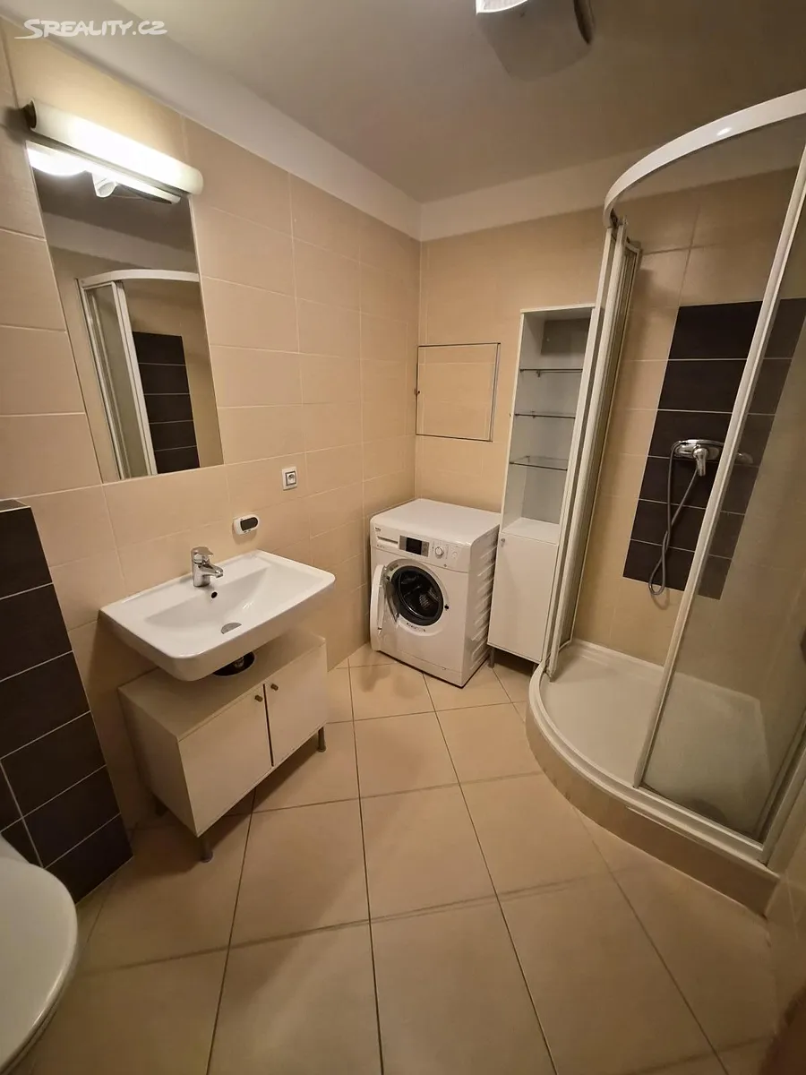 Pronájem bytu 1+kk 31 m² – pohled 5