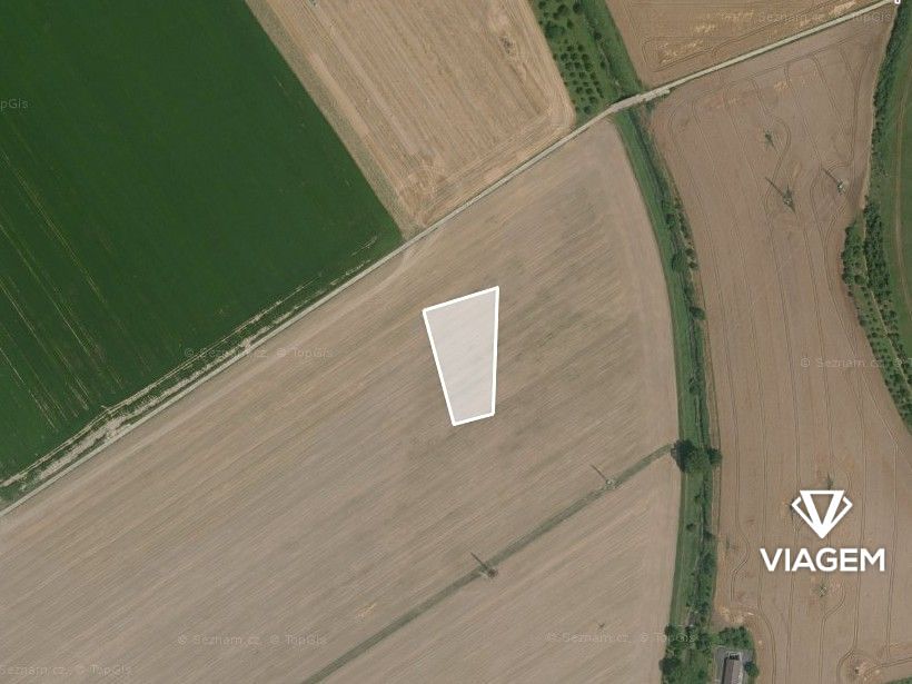 Prodej pole 2428 m² – fotografie 2