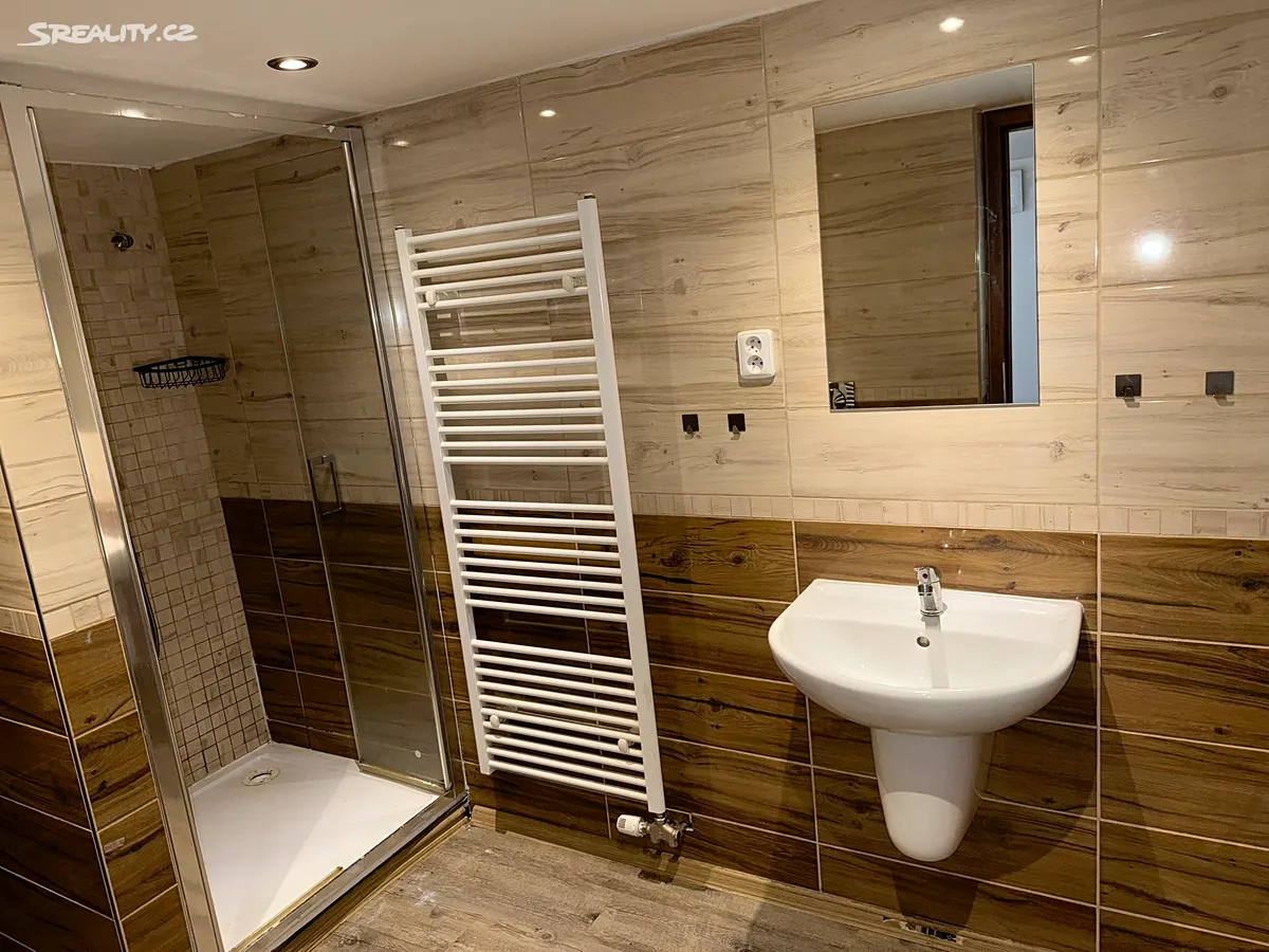 Pronájem bytu 2+kk 52 m² – další