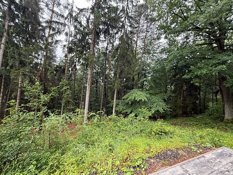Будинок на продаж, 50 м² (5 з 16)