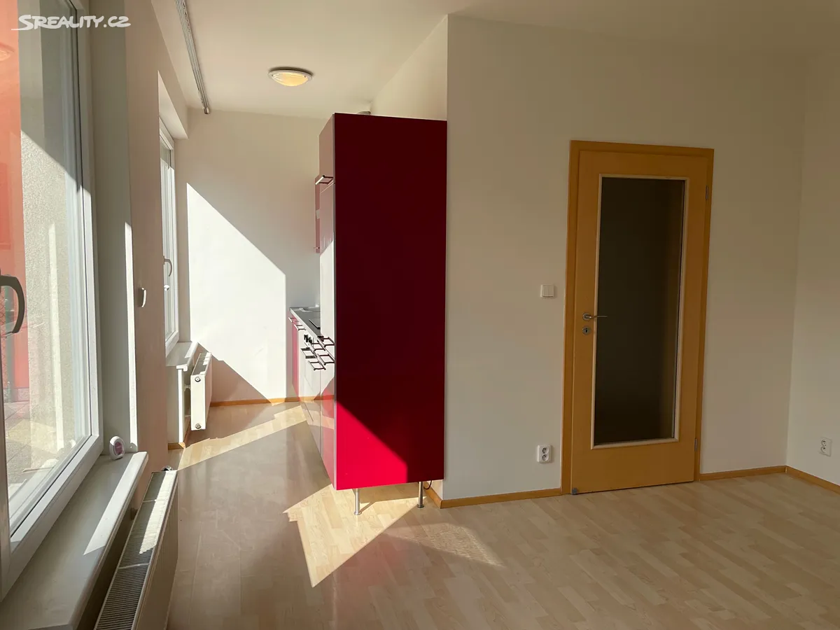 Pronájem bytu 1+kk 30 m² - Widok 5