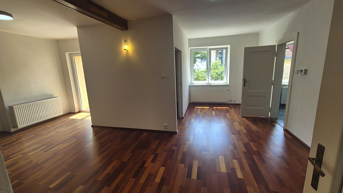 Pronájem bytu 1+1 55 m²