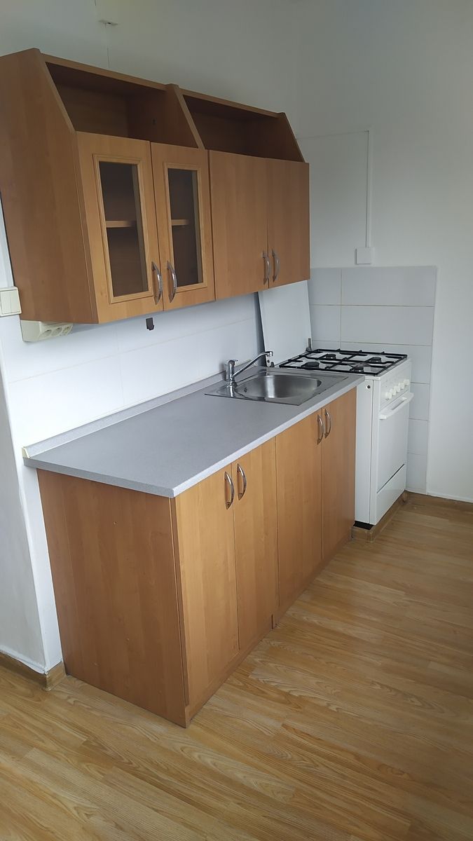 Pronájem bytu 1+1 31 m²