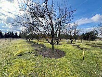 Prodej zahrady 862 m²