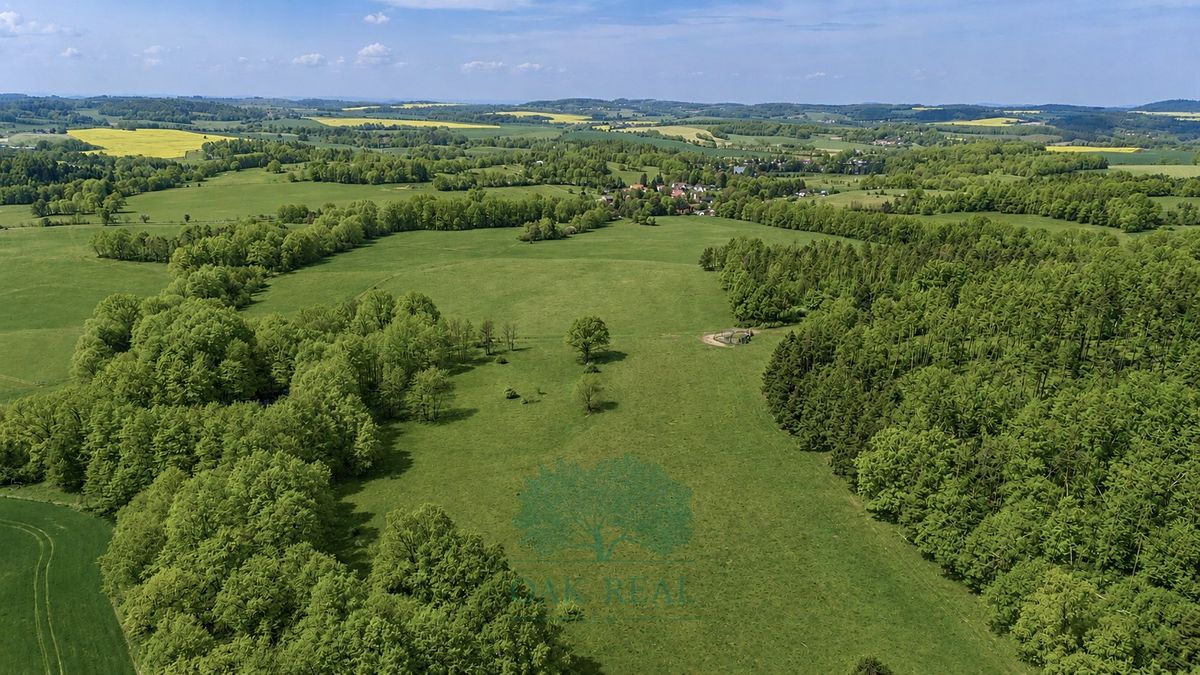 Prodej louky 274000 m²