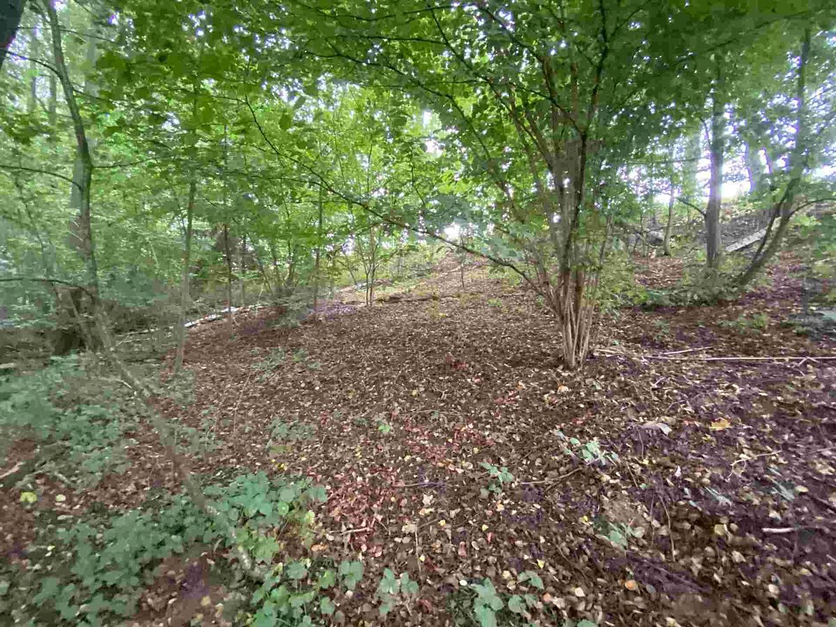 Prodej pozemku 1994 m² – fotografie 2