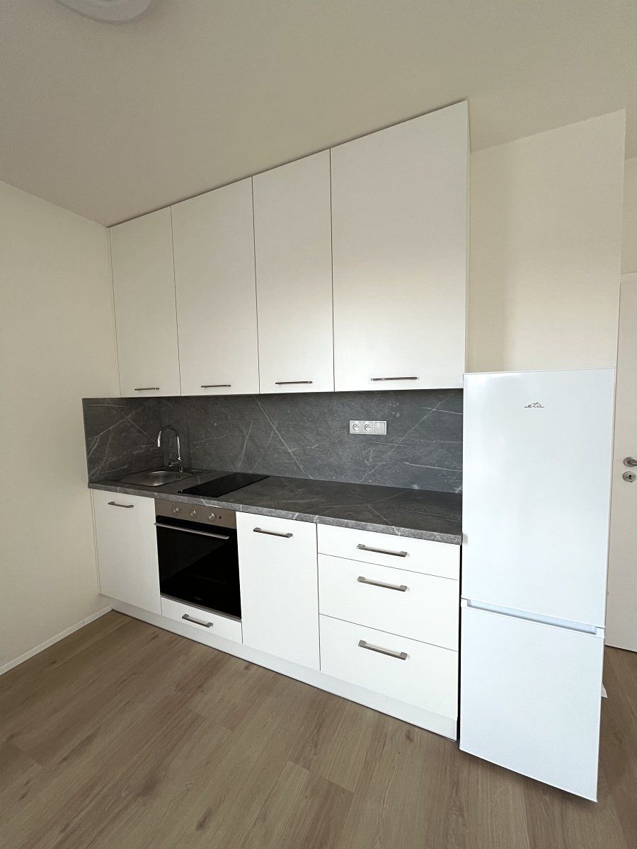 Pronájem bytu 1+kk 41 m²