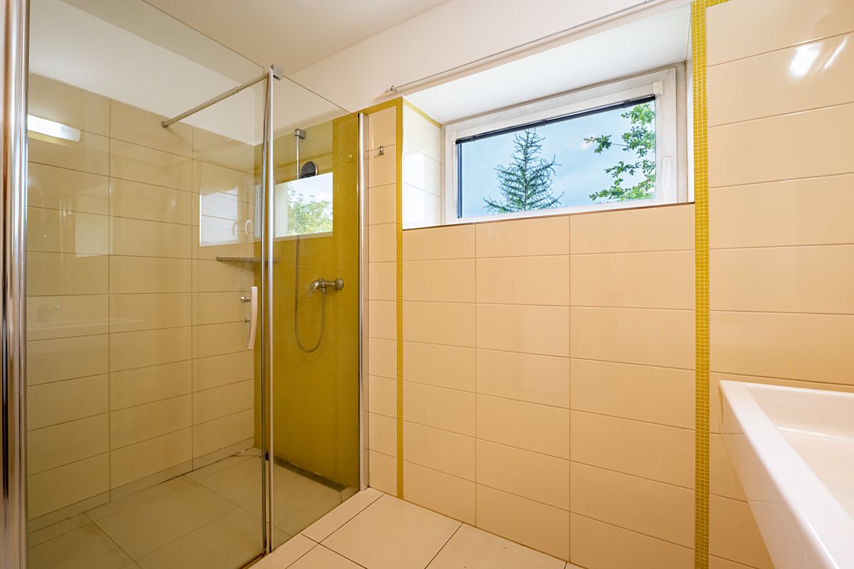 Prodej rodinného domu 455 m², pozemek 1065 m² – fotografie 5
