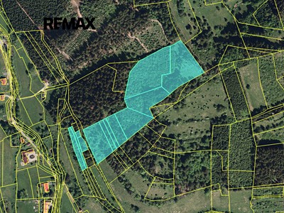 Prodej  lesa 59 738 m²