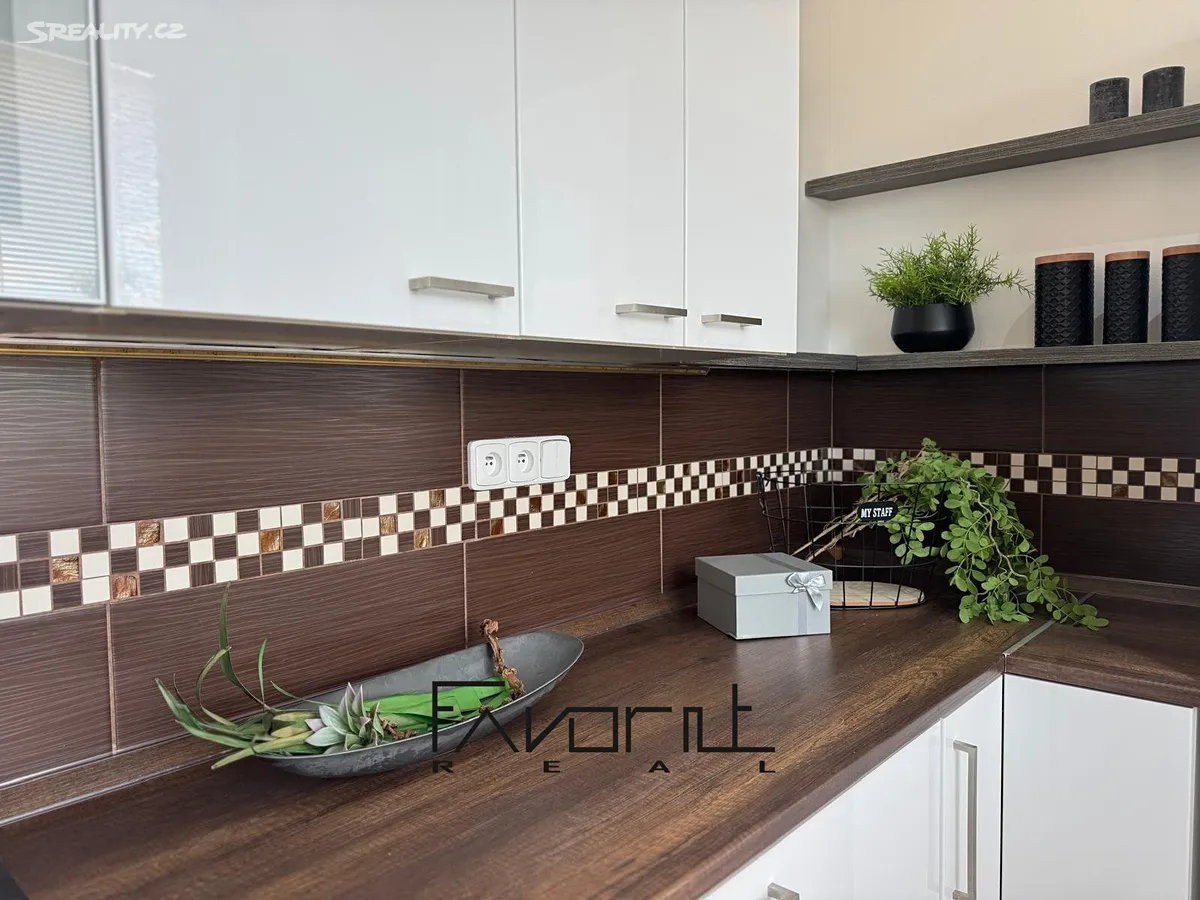 Pronájem bytu 2+1 50 m² – pohled 2