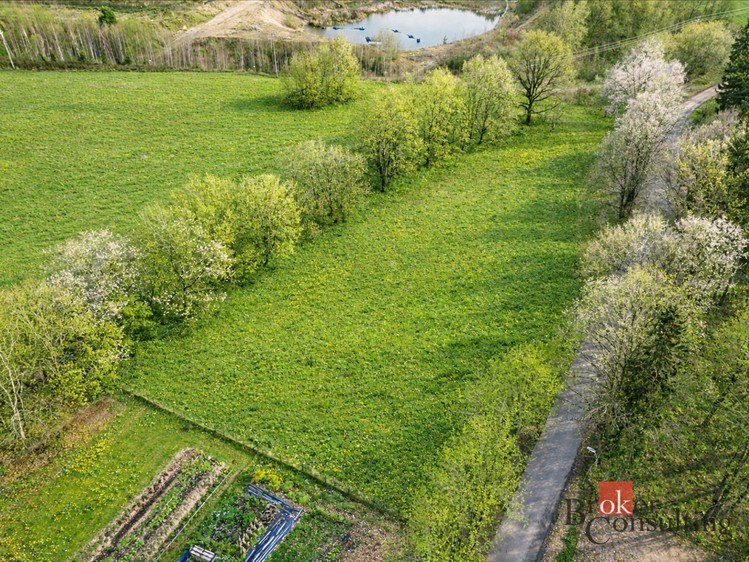 Ділянка на продаж, 1 200 м² (4 з 9)