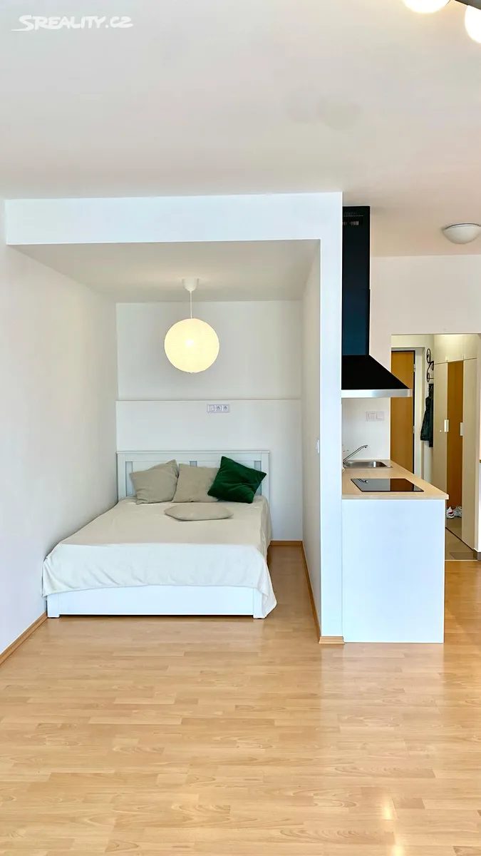 Pronájem bytu 1+kk 42 m², Wiesenthalova
